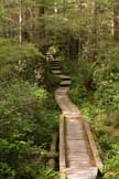 Ozette Boardwalk Picture